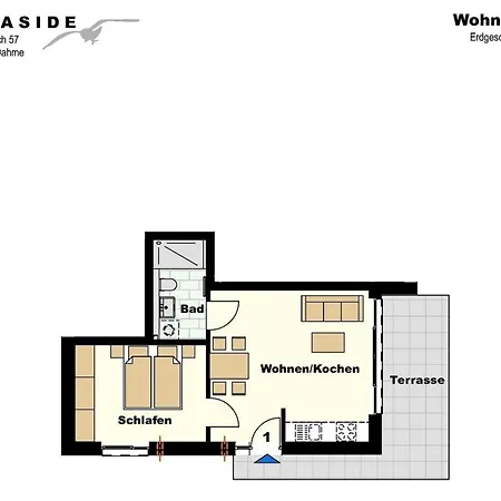 Duene Und Kuestengold